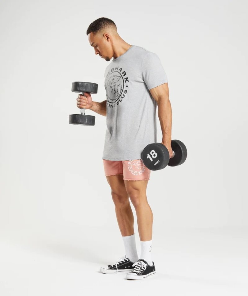 Men's Gymshark Legacy T-Shirts Light Grey | NZ 5WGJDR